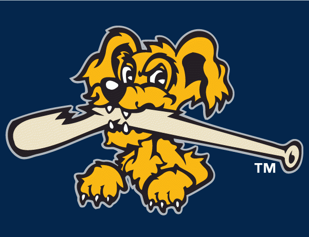 Charleston Riverdogs 2011-2015 Cap Logo 2 decal supplier